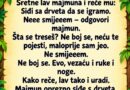 Sretne lav majmuna i reče mu:– Siđi sa drveta da se igramo.