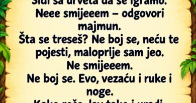 Sretne lav majmuna i reče mu:– Siđi sa drveta da se igramo.