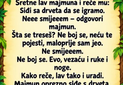 Sretne lav majmuna i reče mu:– Siđi sa drveta da se igramo. Sretne lav majmuna i reče mu:– Siđi sa drveta da se igramo.