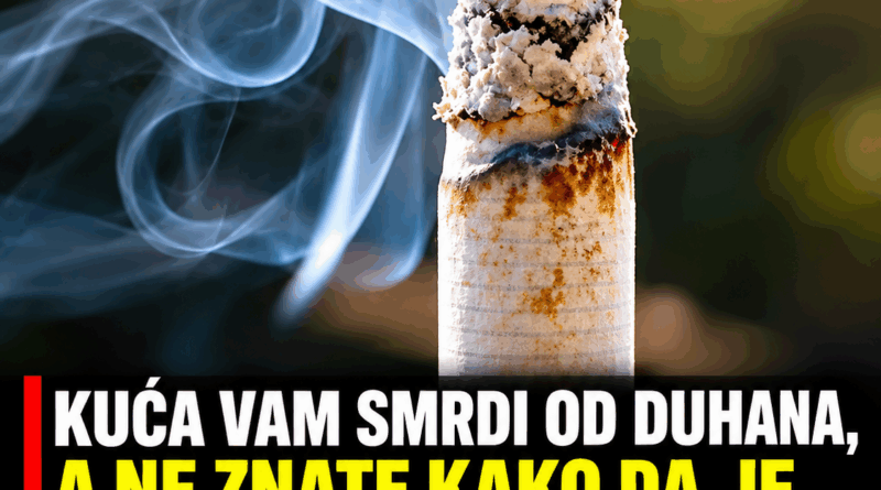 Miris cigareta ostao je u kući? Ova tri jednostavna sredstva mogu pomoći da prostor ponovo bude svež Miris cigareta ostao je u kući? Ova tri jednostavna sredstva mogu pomoći da prostor ponovo bude svež
