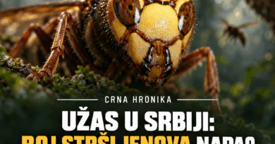 Žena preminula nakon napada stršljenova u Stojniku: Obdukcija će utvrditi uzrok smrti